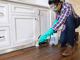 Best Residential Pest Control  in Chetopa, KS